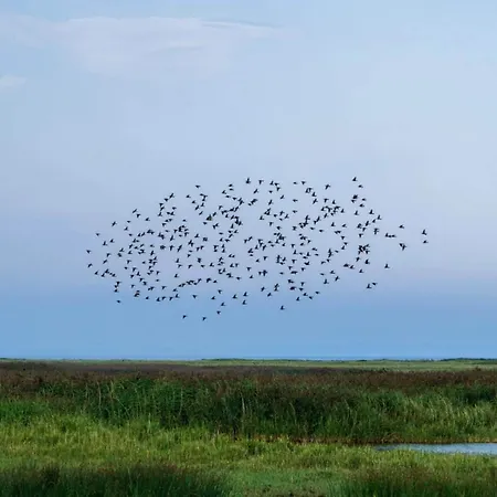 6 Person In Vinderup-by Traum